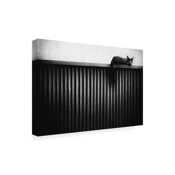 Gary E. Karcz 'Fence Cat' Canvas Art,12x19